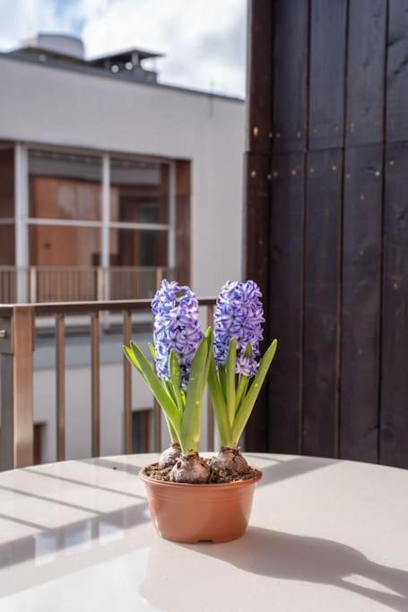 New Loft With Rooftop Terrace In The Old Town Rīga Exterior foto